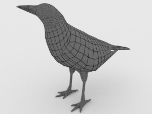 european birds bundle 3D Model