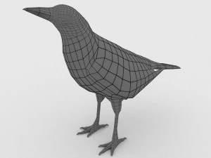 european birds bundle 3D Model