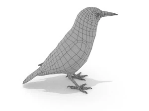 european birds bundle 3D Model