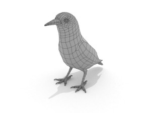european birds bundle 3D Model