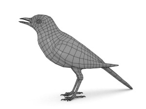 european birds bundle 3D Model