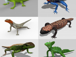 lizards bundle 3D Model