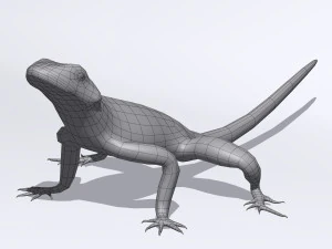 lizards bundle 3D Model
