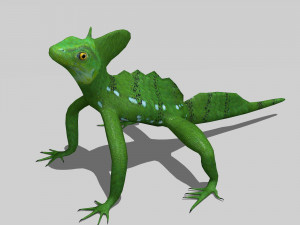 lizards bundle Model 3D