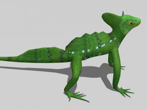 lizards bundle Model 3D