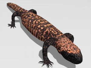 lizards bundle 3D Model
