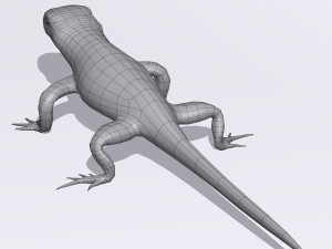 lizards bundle Model 3D