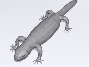 lizards bundle Model 3D
