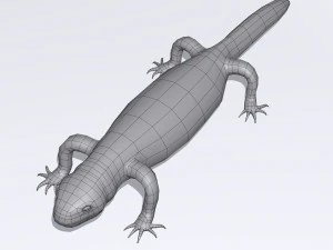 lizards bundle 3D Model
