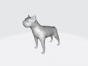 boston terrier 3D Print Model