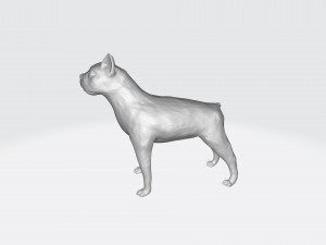Boston terrier 3Dプリントモデル