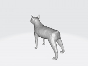 Boston terrier 3Dプリントモデル