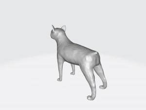 Бостон терьер 3D Принт Модель