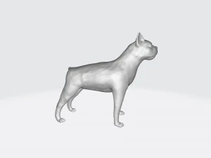 Бостон терьер 3D Принт Модель