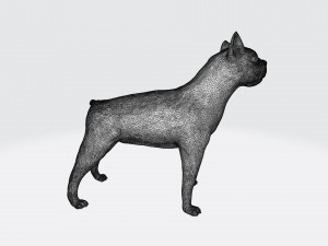 Boston terrier 3Dプリントモデル