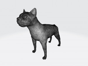 Boston terrier 3Dプリントモデル