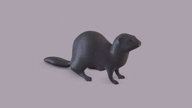 ferret 3D Принт Модель .c4d .max .obj .3ds .fbx .stl .blend 