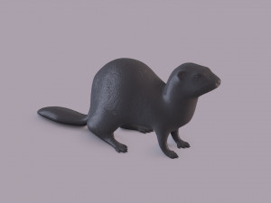 ferret Model do druku 3D