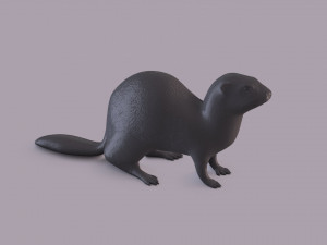 ferret 3D Принт Модель