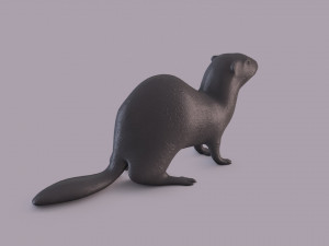 ferret 3D Принт Модель