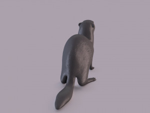 ferret 3D Принт Модель