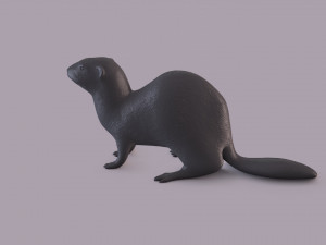 ferret 3D Принт Модель