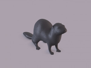 ferret 3D Принт Модель