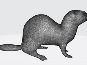 ferret 3D Принт Модель