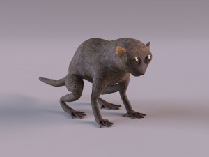 tarsier 3Dモデル