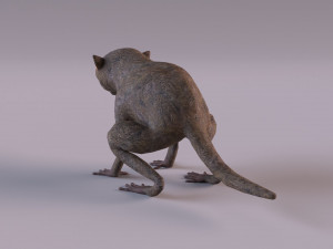 tarsier 3Dモデル