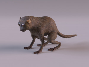tarsier 3Dモデル