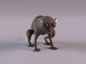 t&aacute;rsio Modelo 3D