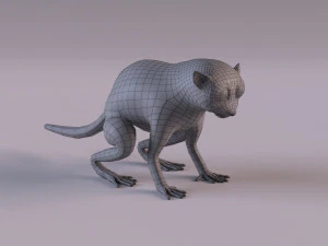 t&aacute;rsio Modelo 3D
