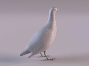 grey partridge 3D Model