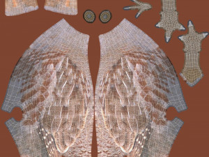 grey partridge 3D Model