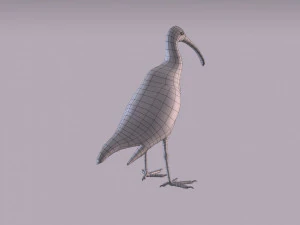 ibis australiano Modelo 3D