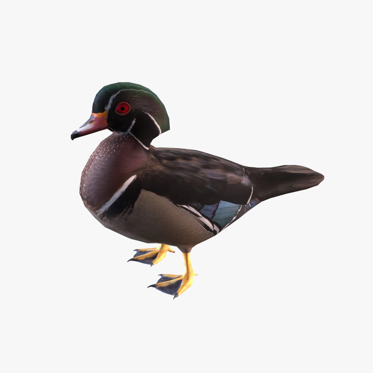 wood duck 3D Model .c4d .max .obj .3ds .fbx .stl .blend 