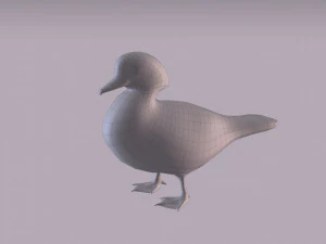wood duck 3D Model