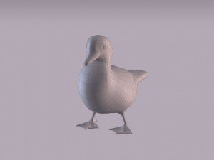 wood duck Modèle 3D