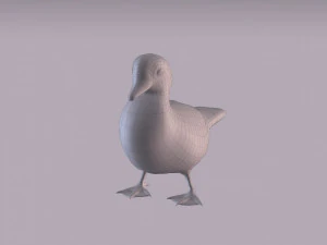 wood duck 3D Model