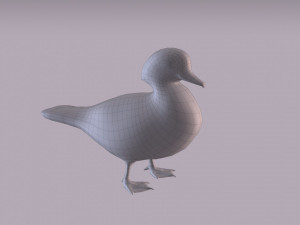wood duck Modèle 3D