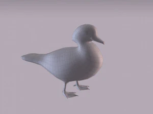 wood duck 3D Model