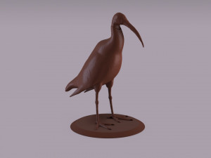 australian ibis figurine Model do druku 3D
