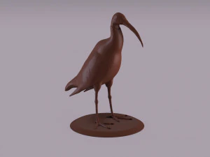 estatuilla de ibis australiano Modelo de impresión 3D