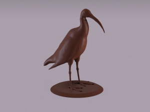 australian ibis figurine 3D Принт Модель