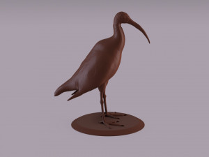 australian ibis figurine 3D Принт Модель