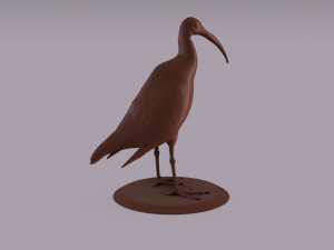 australian ibis figurine 3D Принт Модель