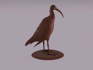 australian ibis figurine 3D Print Model