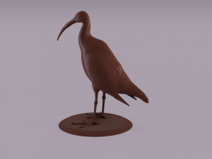 australian ibis figurine 3D Принт Модель