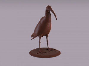 australian ibis figurine 3D Принт Модель